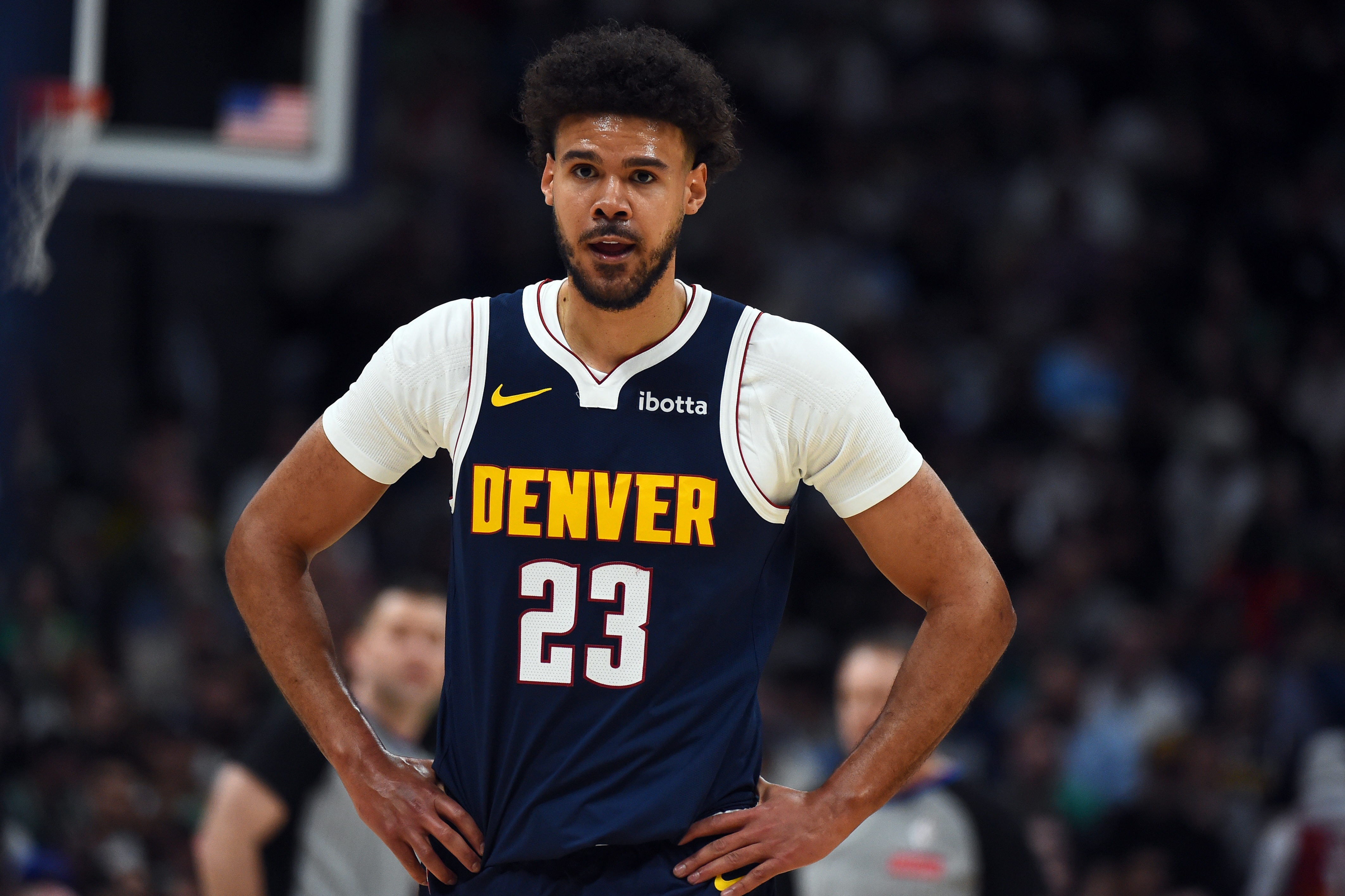 云开体育官网-就这换的小波特？卡梅隆·约翰逊系列赛三分18投4中 命中率22.2%